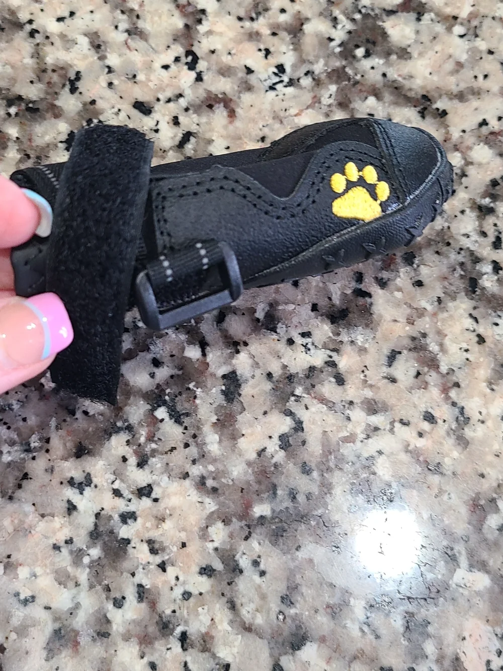 Size 2 Black Dog Boots with Yellow Paw Accent